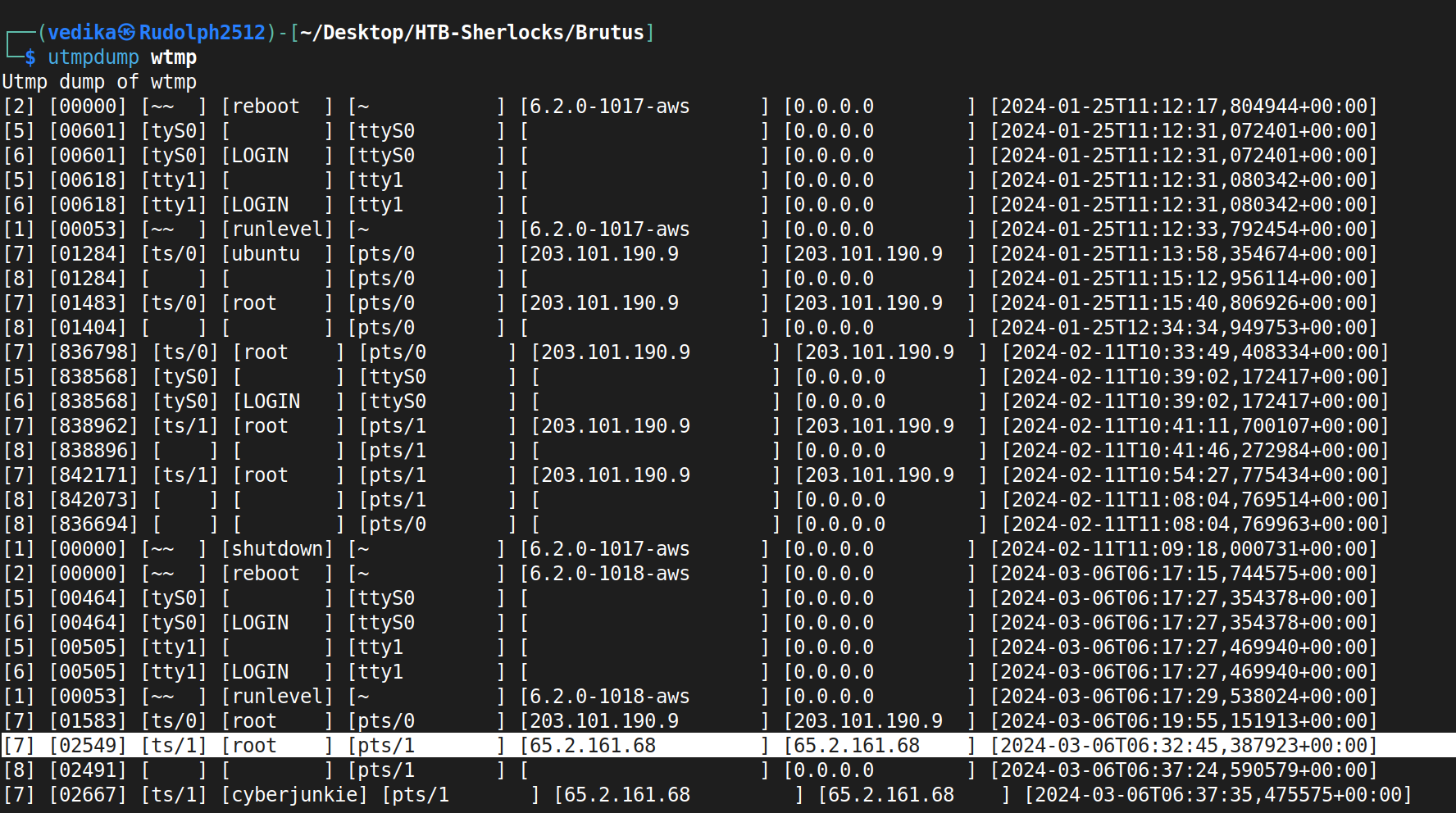 wtmp logs